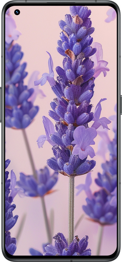 Силіконовий чехол Лаванда для Realme GT2 Pro - 6037u-2566 изображение 