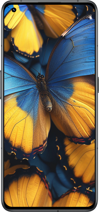 Силиконовый чехол Желто-голубые бабочки для Realme GT2 Pro - 6046u-2566 изображение 