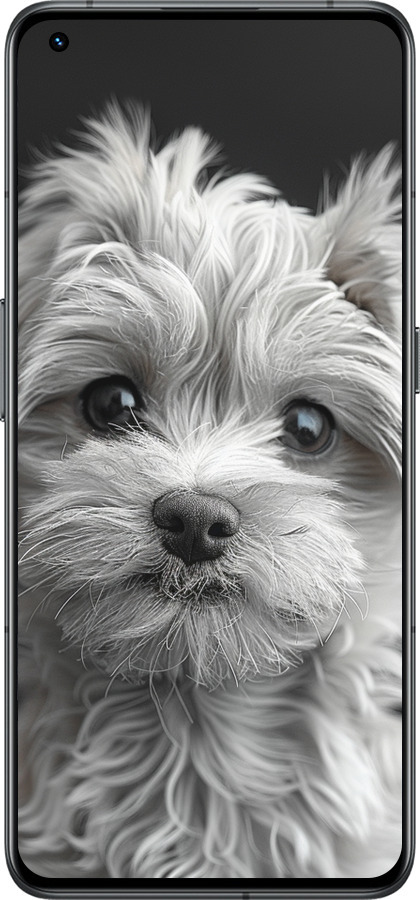 Силиконовый чехол Мальтипу на чорном фоне для Realme GT2 Pro - 6156u-2566 изображение 