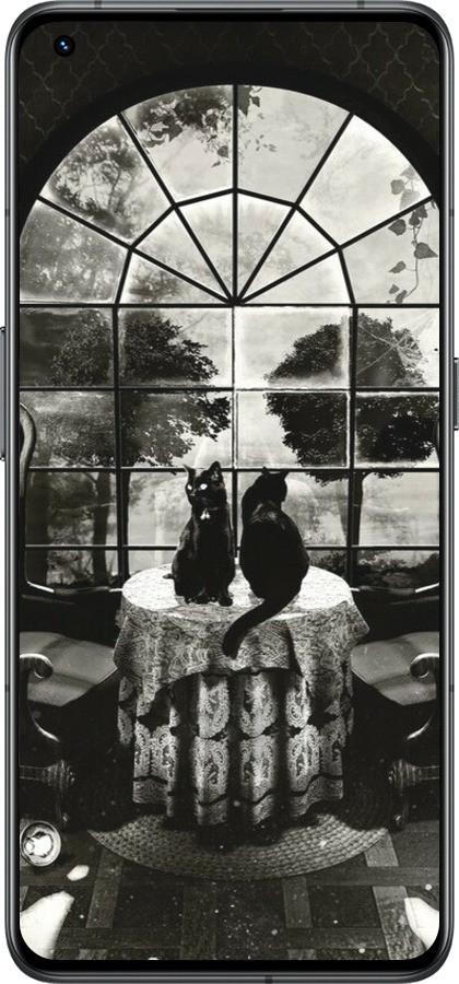 Силиконовый чехол Череп и коты для Realme GT2 Pro - 6432u-2566 изображение 