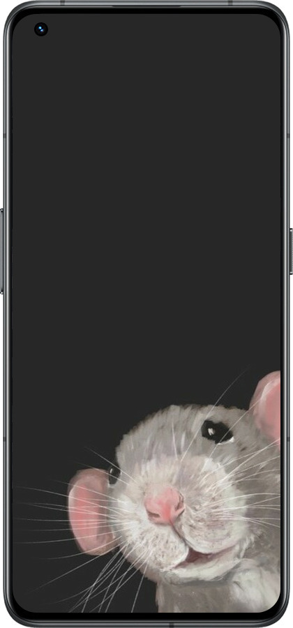Силиконовый чехол The Peeking Rat для Realme GT2 Pro - 6442u-2566 изображение 