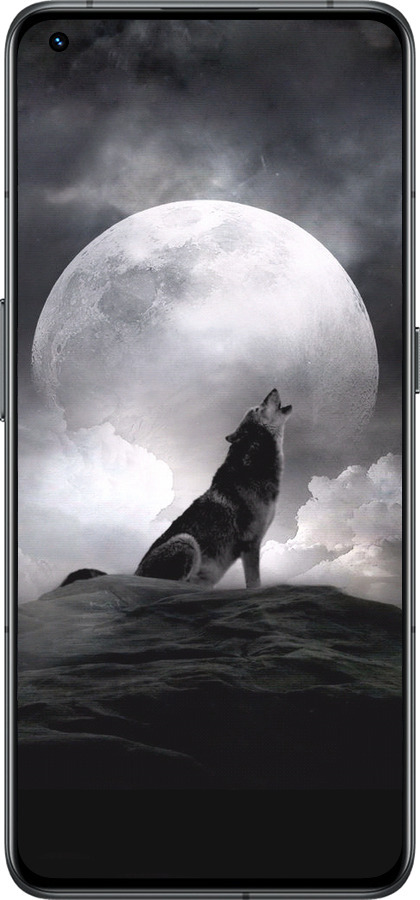 Силиконовый чехол Воющий волк для Realme GT2 Pro - 934u-2566 изображение 