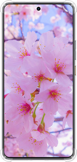 Силикон с усиленными углами чехол Сакура для Realme GT7 - 6029sp-4027 изображение 