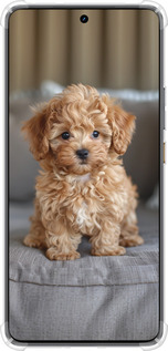 Силикон с усиленными углами чехол Mini-maltipoo для Realme GT7 - 6158sp-4027 изображение 