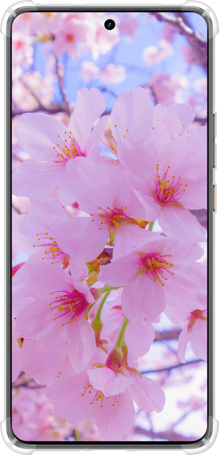 Силикон с усиленными углами чехол Сакура для Realme GT7 - 6029sp-4027 изображение 