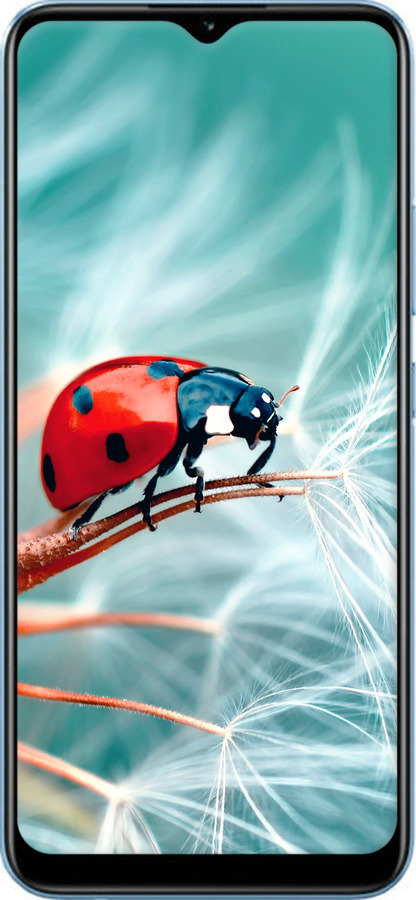 TPU чехол Божья коровка для Realme Narzo 50A - 6049b-2514 изображение 