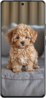Силиконовый чехол Mini-maltipoo для Realme Neo7 - 6158u-3946 изображение 