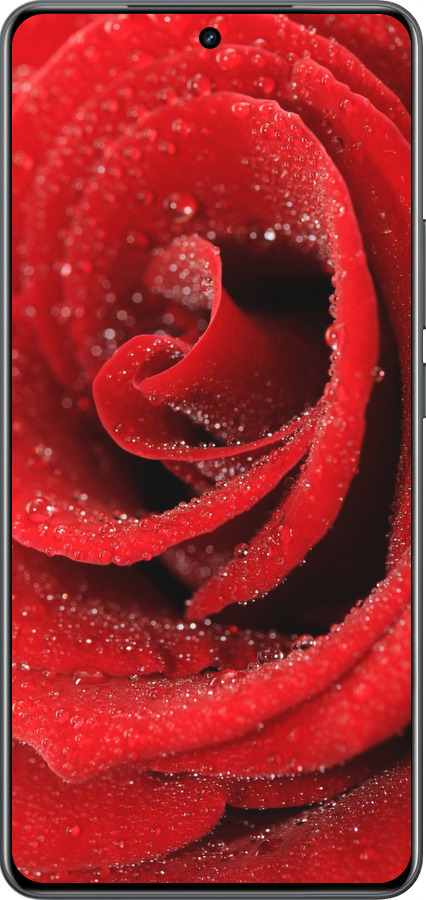 Силіконовий чехол Червона троянда для Realme Neo7 - 529u-3946 изображение 