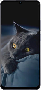 TPU чехол Димчастий кіт для Realme Narzo N61 - 825b-3974 изображение 