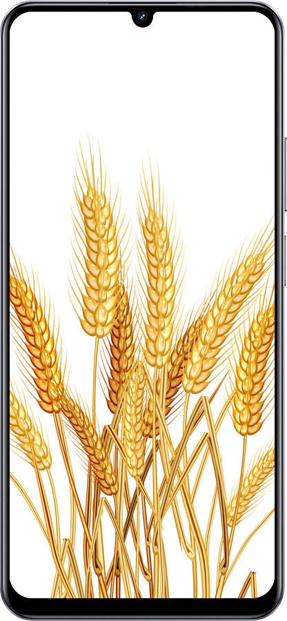 TPU чехол Колоски пшеници для Realme Narzo N61 - 5866b-3974 изображение 