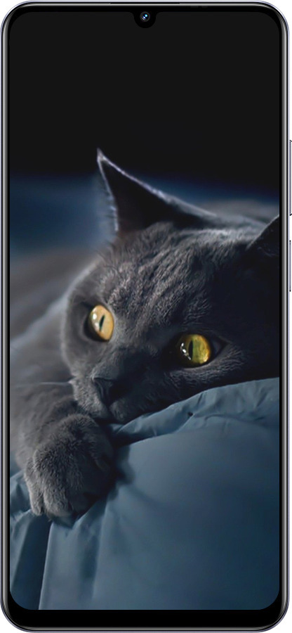 TPU чехол Димчастий кіт для Realme Narzo N61 - 825b-3974 изображение 