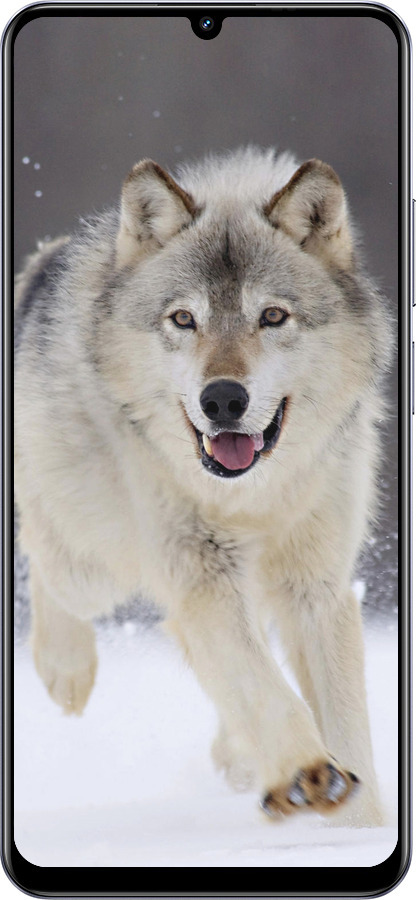 TPU чехол Бегущий волк для Realme Narzo N61 - 826b-3974 изображение 