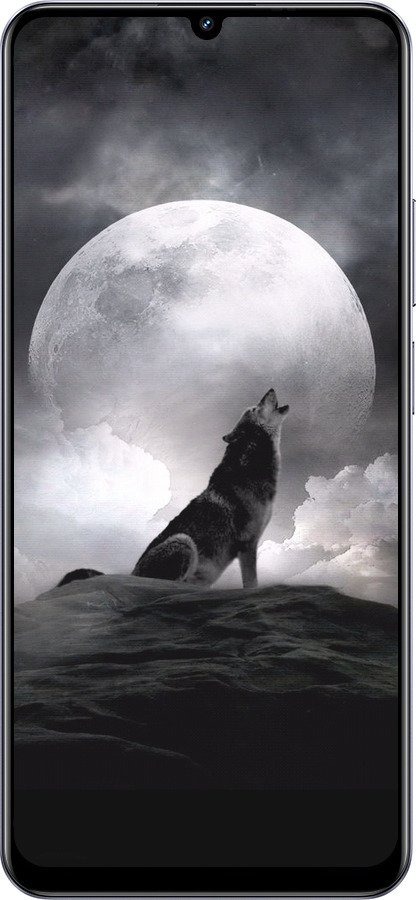 TPU чехол Воющий волк для Realme Narzo N61 - 934b-3974 изображение 