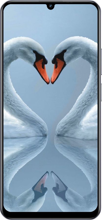 Силиконовый чехол Лебеди для Realme Note 60 - 6007u-3761 изображение 