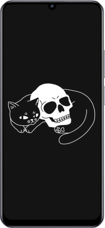 Силіконовий чехол Із зображенням кота та черепа для Realme Note 60 - 6491u-3761 изображение 