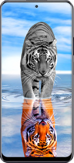 TPU чехол Тигр для Realme 10 Pro - 6016b-2945 изображение 