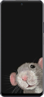 TPU чехол The Peeking Rat для Realme 10 Pro - 6442b-2945 изображение 