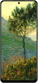 TPU чехол Клод Моне для Realme Realme 12 5G - 1193b-3705 изображение 