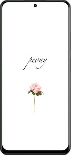 TPU чехол Пион для Realme Realme 12 5G - 4366b-3705 изображение 