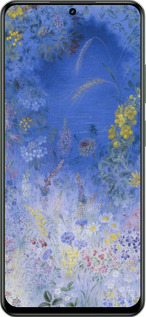 TPU чехол Билокур для Realme Realme 13 5G - 5908b-3916 изображение 