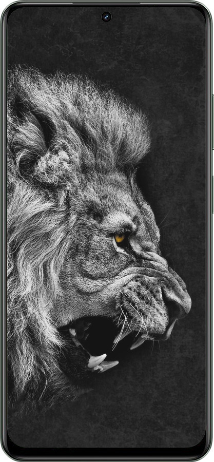 TPU чехол Лев для Realme Realme 13 5G - 1080b-3916 изображение 