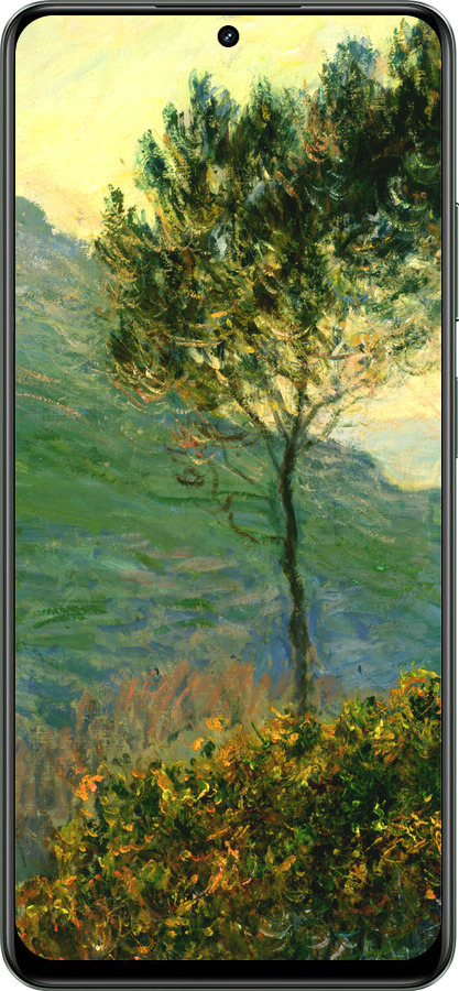 TPU чехол Клод Моне для Realme Realme 12 5G - 1193b-3705 изображение 