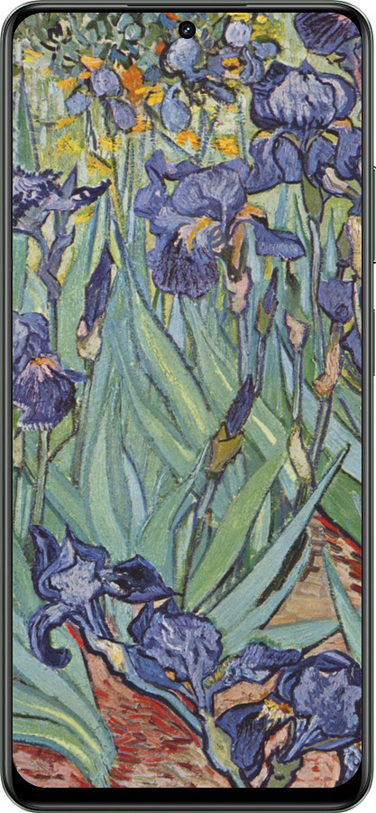 TPU чехол Винсент Ван Гог. Ирисы для Realme Realme 13 5G - 161b-3916 изображение 