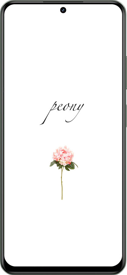 TPU чехол Пион для Realme Realme 12 5G - 4366b-3705 изображение 