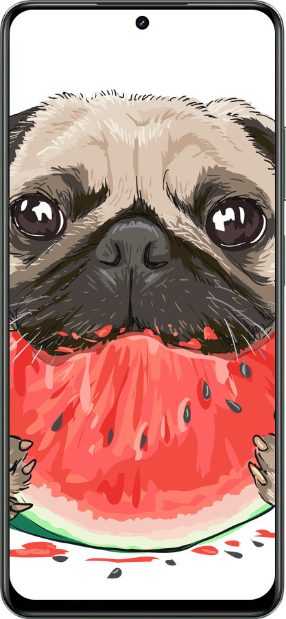 TPU чехол Мопс и арбуз для Realme Realme 12 5G - 4665b-3705 изображение 