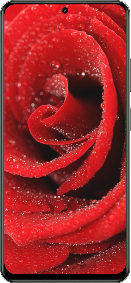 TPU чехол Красная роза для Realme Realme 12 5G - 529b-3705 изображение 