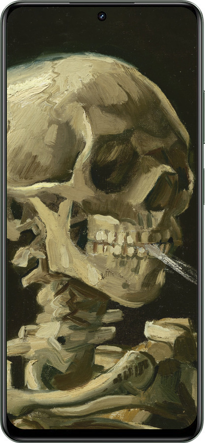 TPU чехол Винсент Ван Гог. Череп для Realme Realme 12 5G - 5544b-3705 изображение 