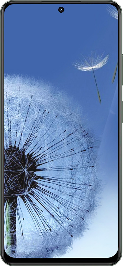 TPU чехол Одуванчик для Realme Realme 12 5G - 6005b-3705 изображение 