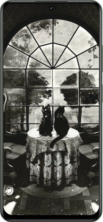 TPU чехол Череп и коты для Realme Realme 12 5G - 6432b-3705 изображение 