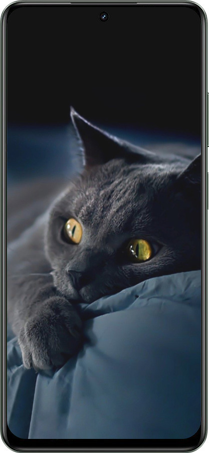 TPU чехол Дымчатый кот для Realme Realme 12 5G - 825b-3705 изображение 