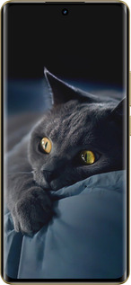 Силиконовый чехол Дымчатый кот для Realme Realme 12 Pro - 825u-3649 изображение 