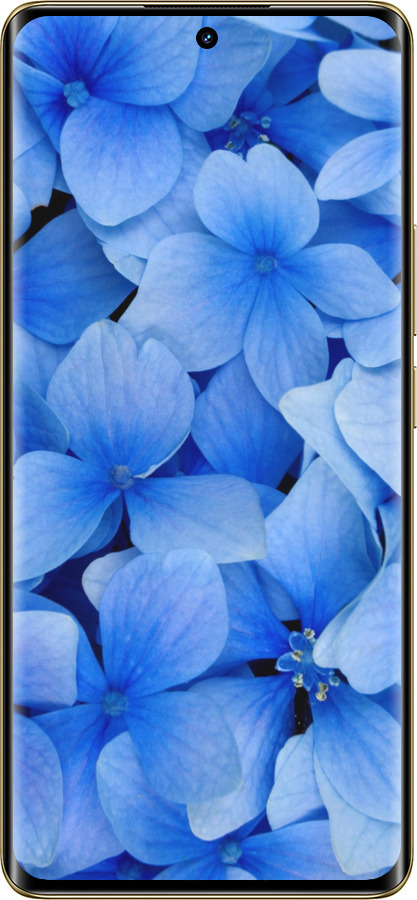 Силіконовий чехол Сині квіти для Realme Realme 12 Pro - 526u-3649 изображение 