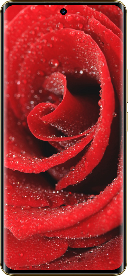 Силиконовый чехол Красная роза для Realme Realme 12 Pro - 529u-3649 изображение 