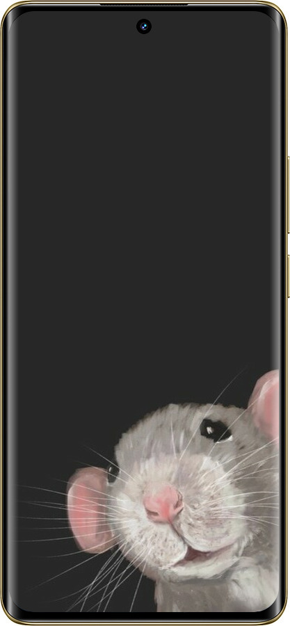 Силиконовый чехол The Peeking Rat для Realme Realme 12 Pro - 6442u-3649 изображение 
