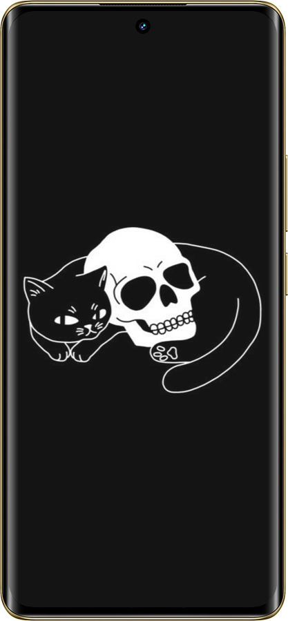 Силіконовий чехол Із зображенням кота та черепа для Realme Realme 12 Pro - 6491u-3649 изображение 