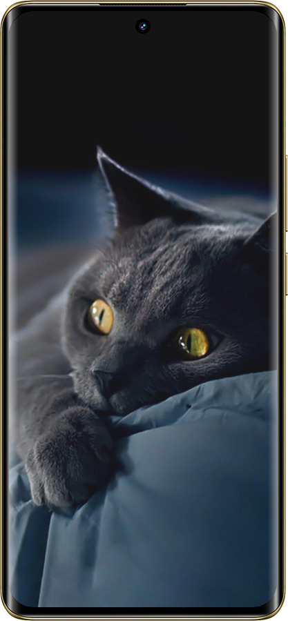 Силиконовый чехол Дымчатый кот для Realme Realme 12 Pro - 825u-3649 изображение 