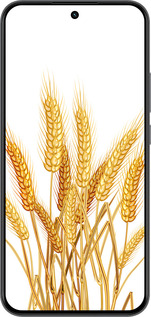 Силиконовый чехол Колоски пшеници для Realme 15T 5G - 5866u-4159 изображение 