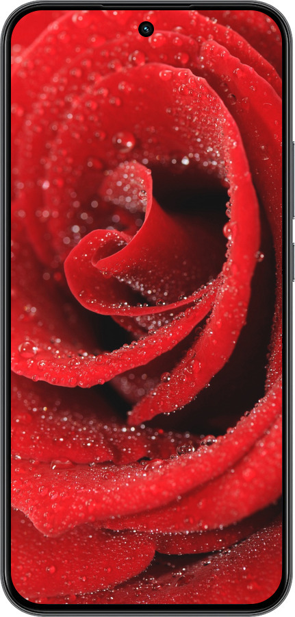 Силиконовый чехол Красная роза для Realme 15T 5G - 529u-4159 изображение 
