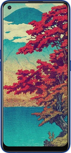 2D пластиковый чехол С изображением природы для Realme 7 Pro - 6469t-2082 изображение 