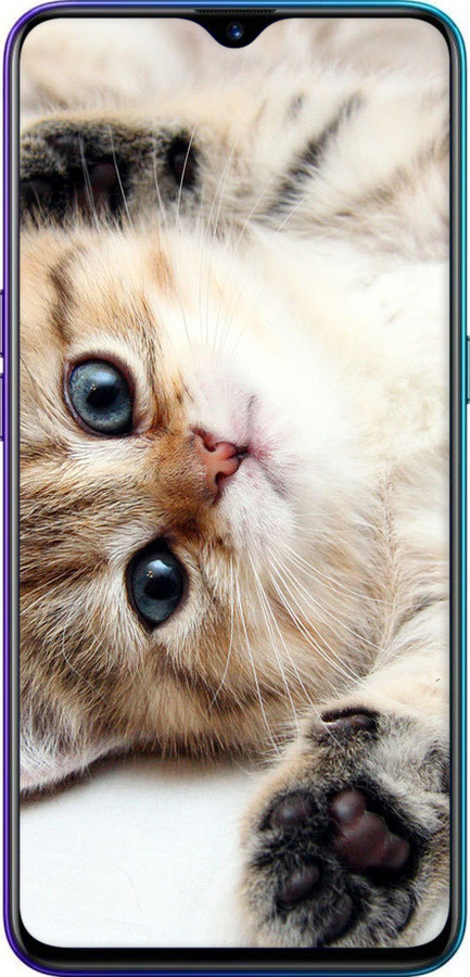 Силиконовый чехол Котик для Realme XT - 6024u-1868 изображение 