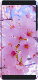 3D пластиковый матовый чехол Сакура для Samsung Galaxy A01 Core A013F - 6029m-2065 изображение 