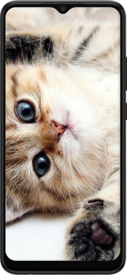 Силиконовый чехол Котик для Samsung Galaxy A03 A035F - 6024u-2499 изображение 
