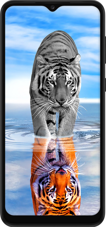 TPU чехол Тигр для Samsung Galaxy A03 Core A032F - 6016b-2539 изображение 