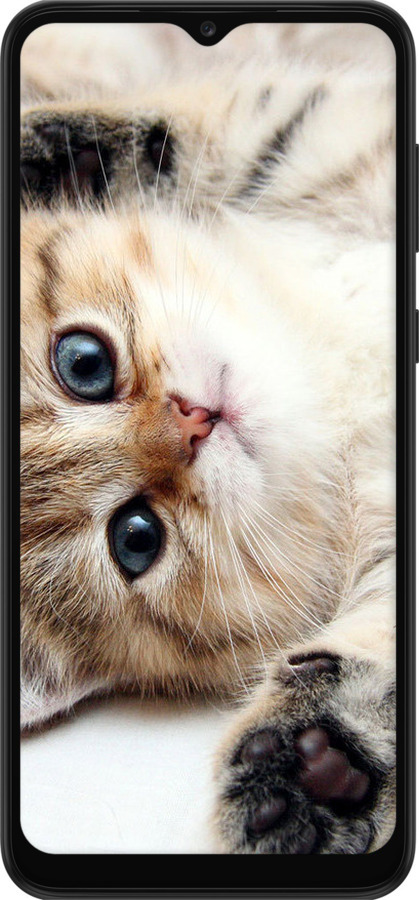 Силиконовый чехол Котик для Samsung Galaxy A03 Core A032F - 6024u-2539 изображение 