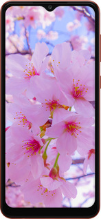 TPU чехол Сакура для Samsung Galaxy A04 A045F - 6029b-2831 изображение 
