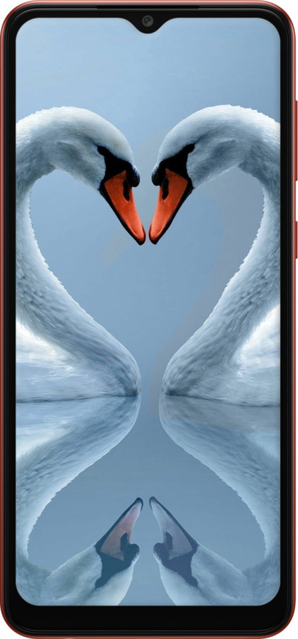TPU чехол Лебеді для Samsung Galaxy A04 A045F - 6007b-2831 изображение 